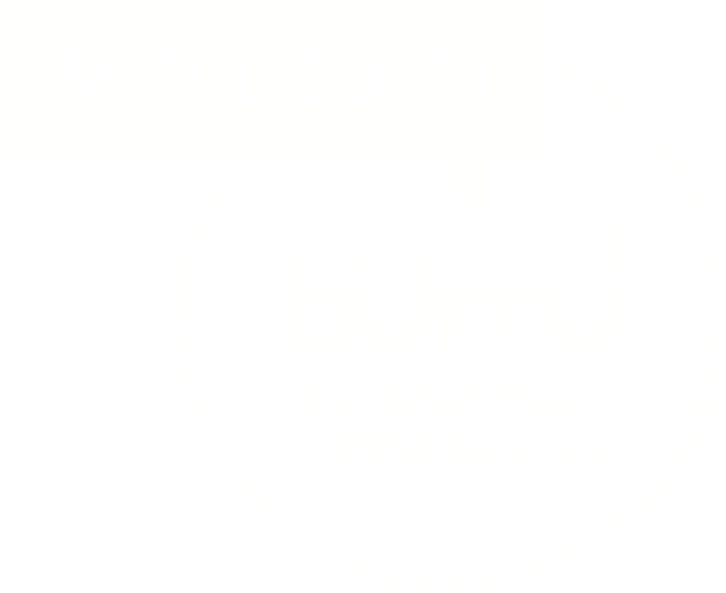 Siegel, das bestätigt: VerticalMeters ist Mitglied im Bundesverband IT-Mittelstand (BITMI)