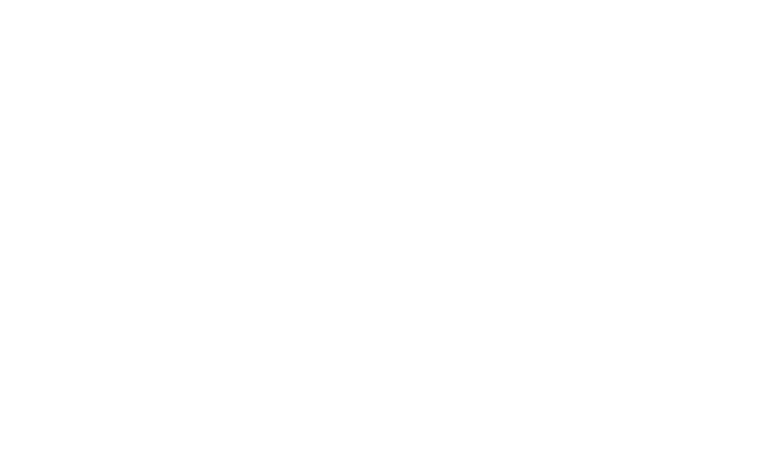 Siegel des BITMI für Software Made in Germany, verliehen an Vertical Meters 2025